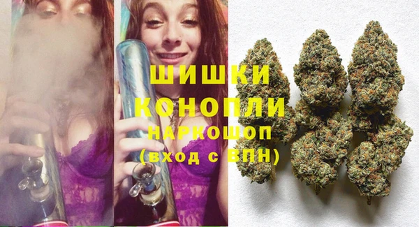 амф Верея