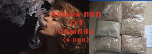 амф Верея