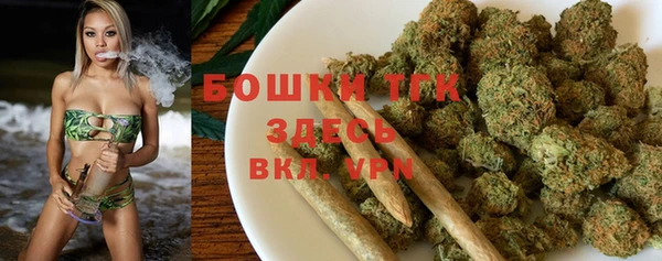 амф Верея