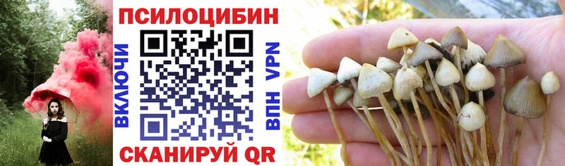 Купить где  Каменка  Галлюциногенные грибы Magic Shrooms 