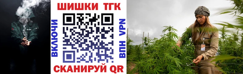Купить  Каменка  Бошки Шишки ГИДРОПОН 